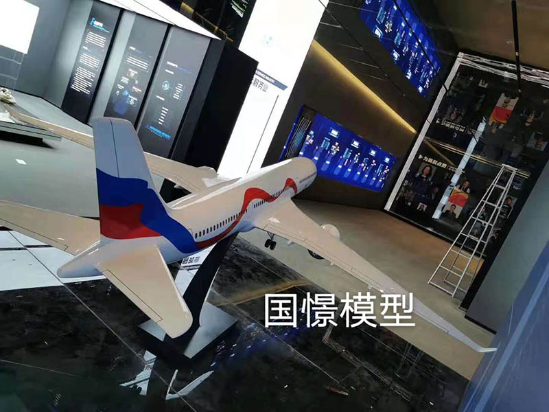 盖州市飞机模型