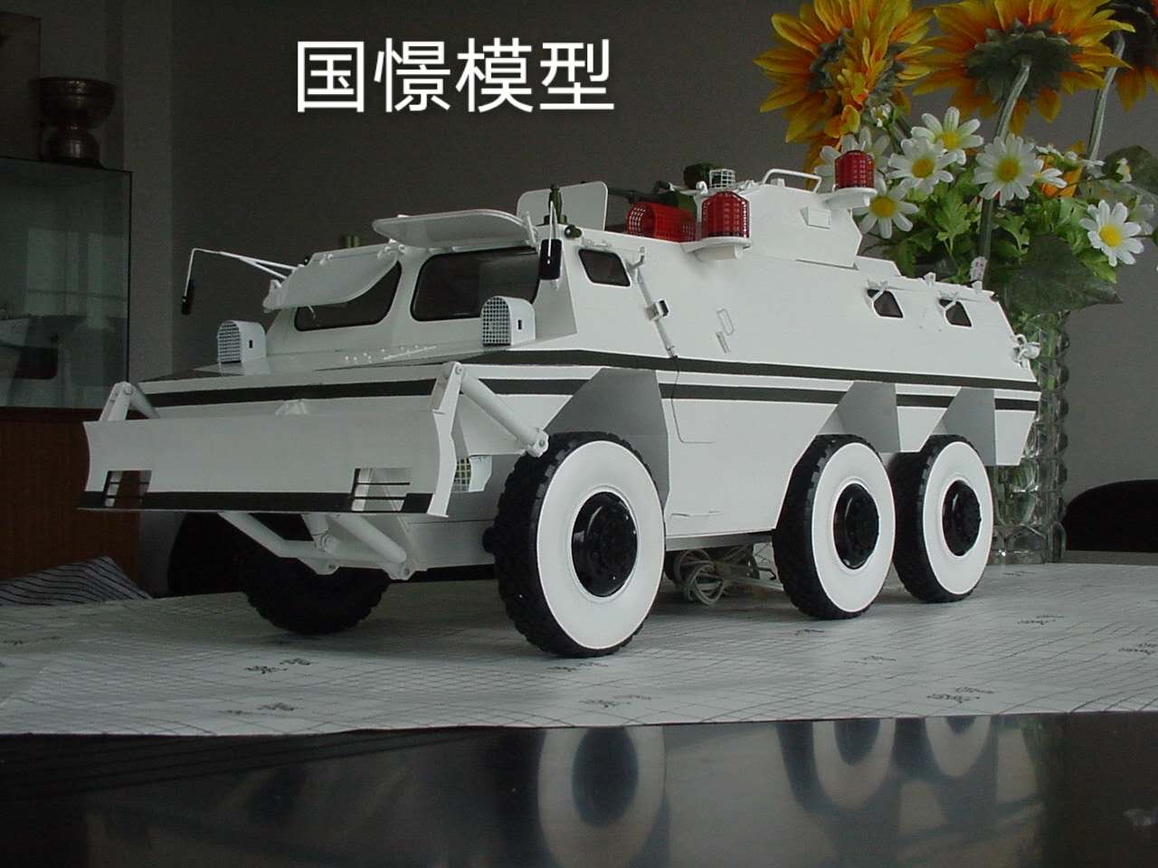 盖州市军事模型