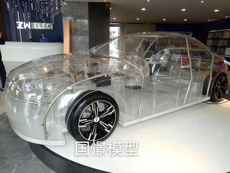 盖州市透明车模型